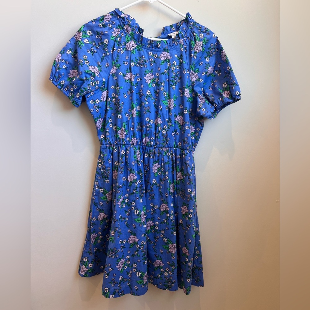 J. Crew Blue Floral Puff-Sleeve Casual Dress